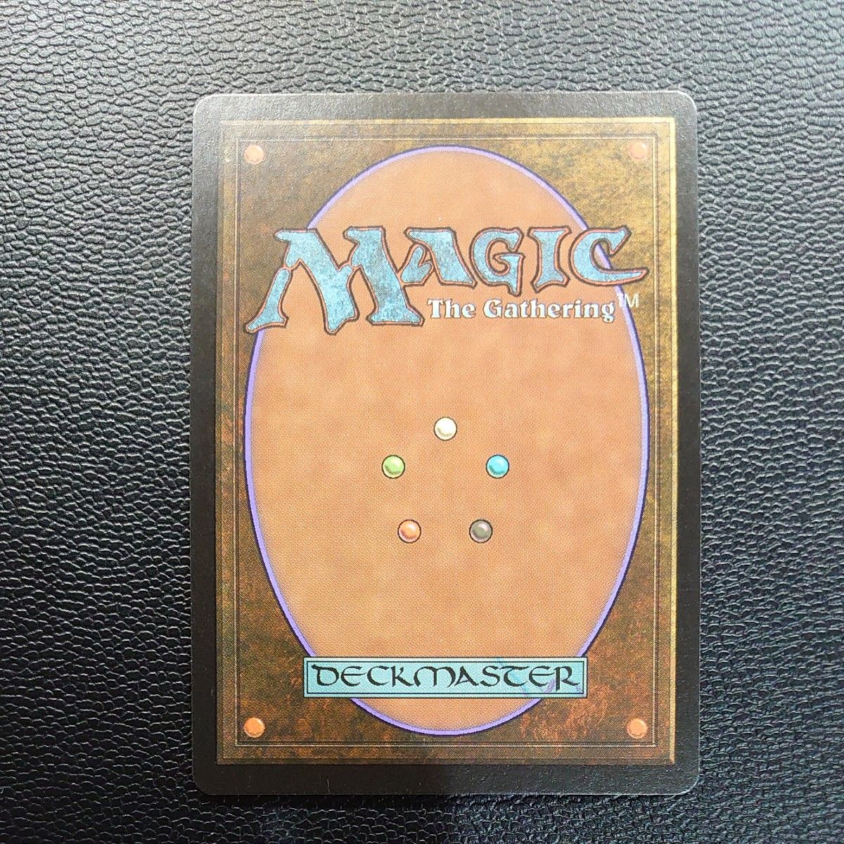 MTG マジックザギャザリング　旧枠　食物連鎖　メルカディアン・マスクス　エンチャント（場）　レア　日本語