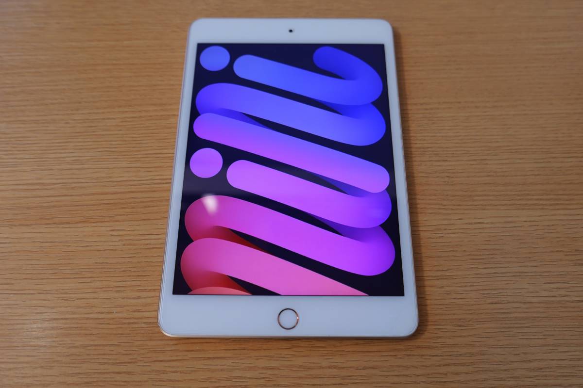 Apple iPad mini5 WiFiモデル 64GB ゴールド アップルストア購入 アクセサリー未使用_画像1