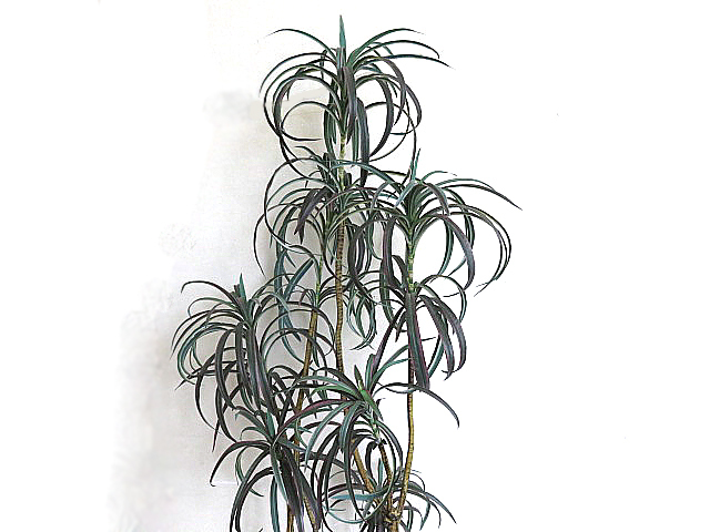 EMILIO ROBBA/エミリオロバ 大型クチュールグリーン H195ｃｍ   人工観葉植物/造花/アートフラワーの画像3