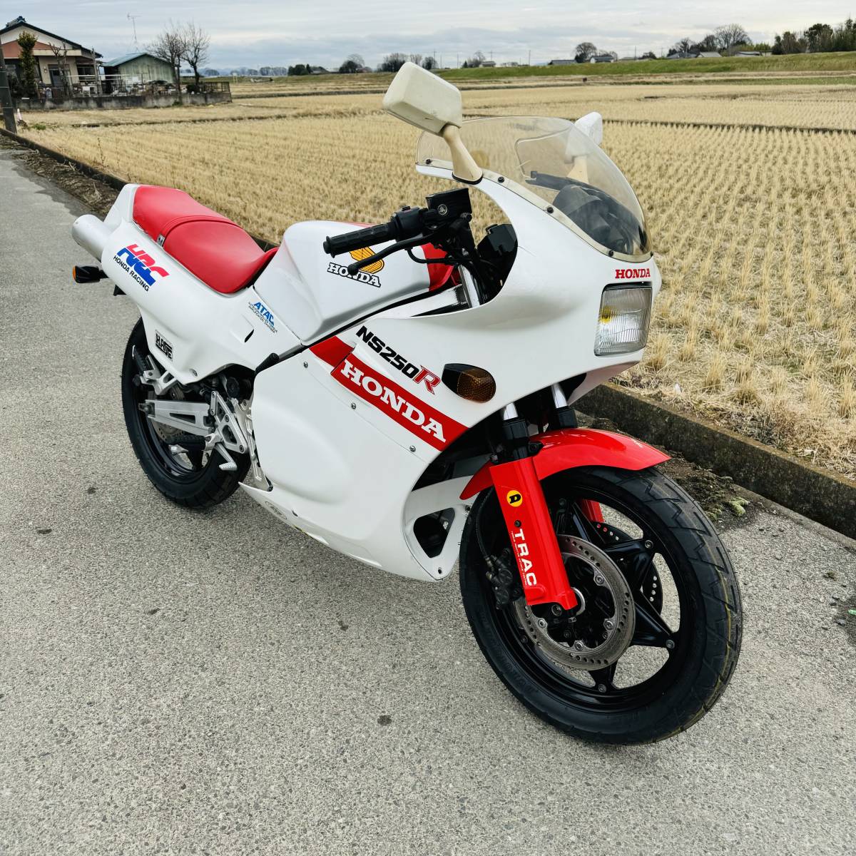 ホンダ NS250R MC11 実動 書類付 フルカウル 絶版 旧車 2スト 検）NS NSR NS TZR SDR KR R1Z TDR RGV CB CBR RZR RZ ウルフ ガンマ 250F_画像1