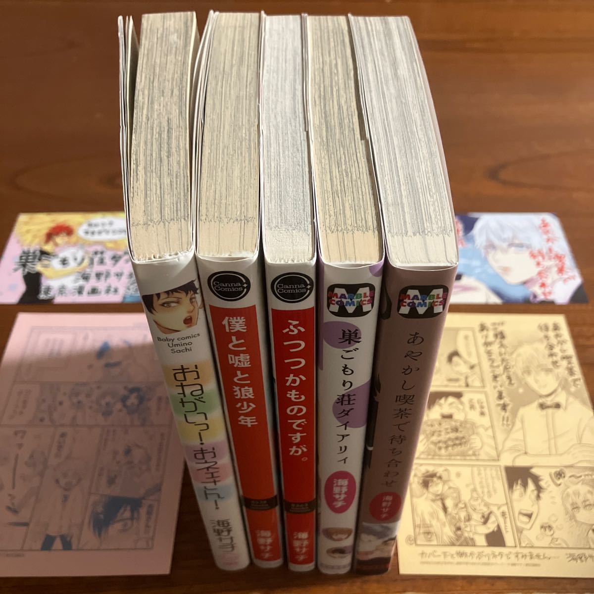 う★混★海野サチ★完結５作品で★おねがいっ！おネェさん！★僕と嘘と狼少年★ふつつかものですが。★巣ごもり荘ダイアリィ 他★送料370円_画像2