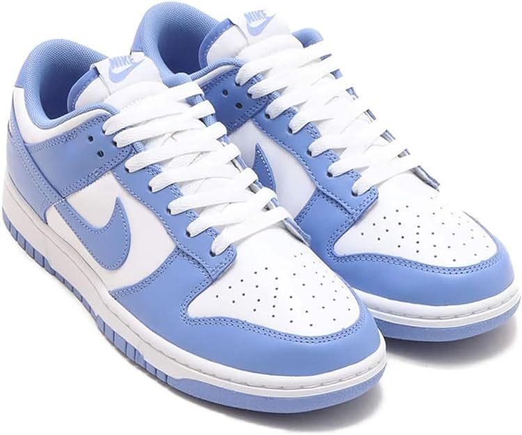 送料無料 27cm●ナイキ NIKE ダンク ロー レトロ DUNK LOW RETRO ブルー ホワイト DV0833-400 BTTYS_画像2