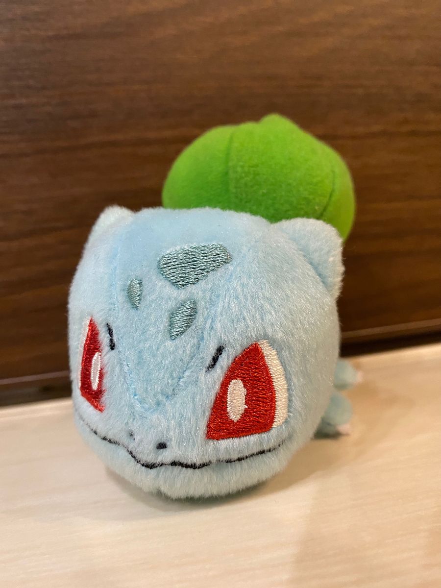 ポケモン ぬいぐるみ まとめ売り ピカチュウ ポッチャマ パモット フシギダネ ポケットモンスター