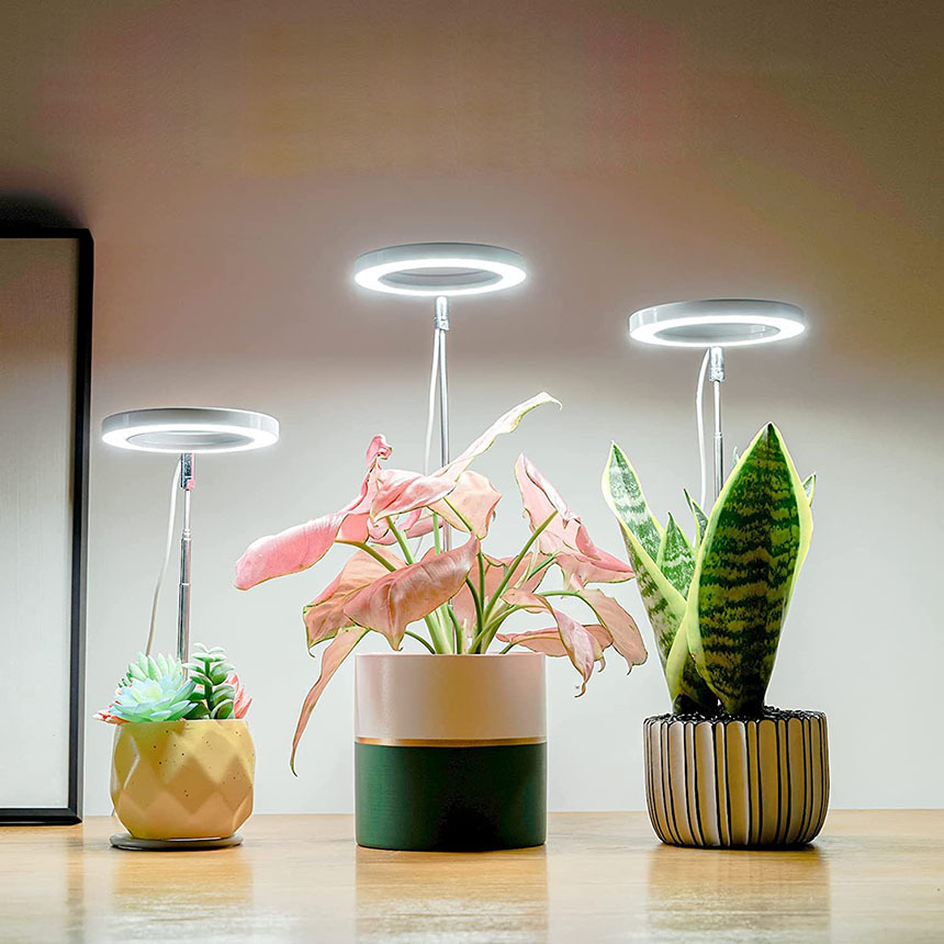 LED植物育成ライト 植物育成ライト 鉢植えに差し込む 4段階調光 LED 植物ライト 植物育成ランプ 観葉植物用ライト 室内栽培ランプ 1個のみ_画像7