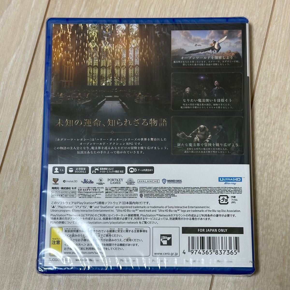 【新品】PS5ソフト『HOGWARTS LEGACY』