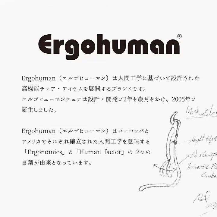 【未使用品】エルゴヒューマン プロ 2Ergohuman Pro オフィスチェア EHP2-LPL-BF-BK_画像4