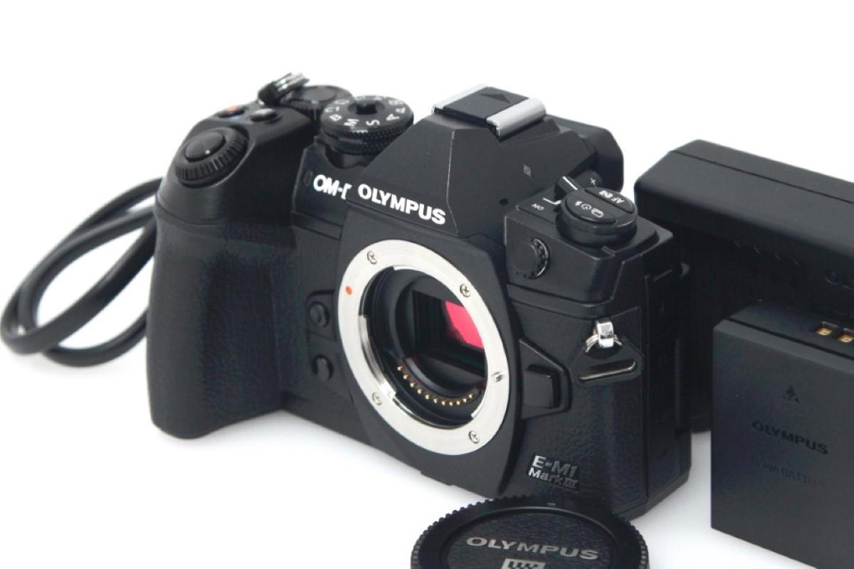 OLYMPUS OM-D E-M1 Mark II ボディ シャッター数3123回 OLYMPUS OM-D E-M1 Mark II ボディ シャッター数3123回