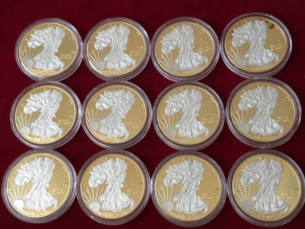 X2)アメリカ 自由の女神 イーグル 2014年金銀2色コイン 合計12枚まとめ 背鷹の画像1