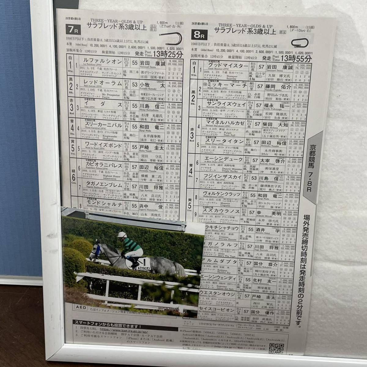 CK22g 競走馬 レース実使用 ゼッケン 2点 まとめて ローレルレヴァータ ルファルシオン 京都競馬 サラブレッド系3歳以上 写真付_画像7