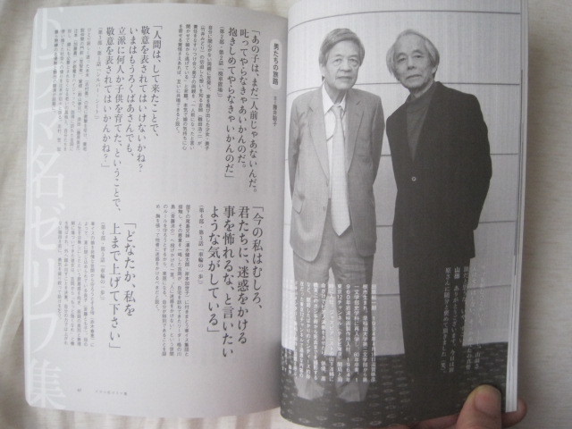 総特集 山田太一 文藝別冊』全ドラマ解説 名セリフ集 エッセイ インタビュー 対談 ふぞろいの林檎たち 岸辺のアルバム 早春スケッチブック_画像10