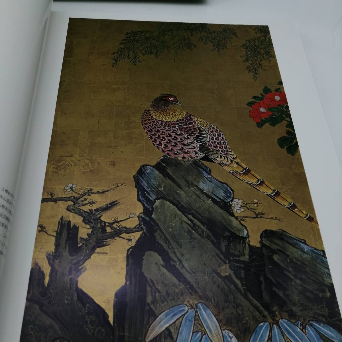 item_image_5