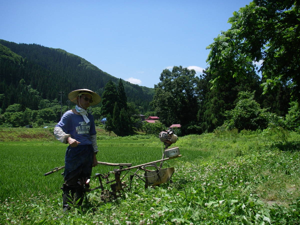 月山の麓で栽培した特別栽培米（令和４年精米つや姫２0ｋｇ）_夏の農作業風景