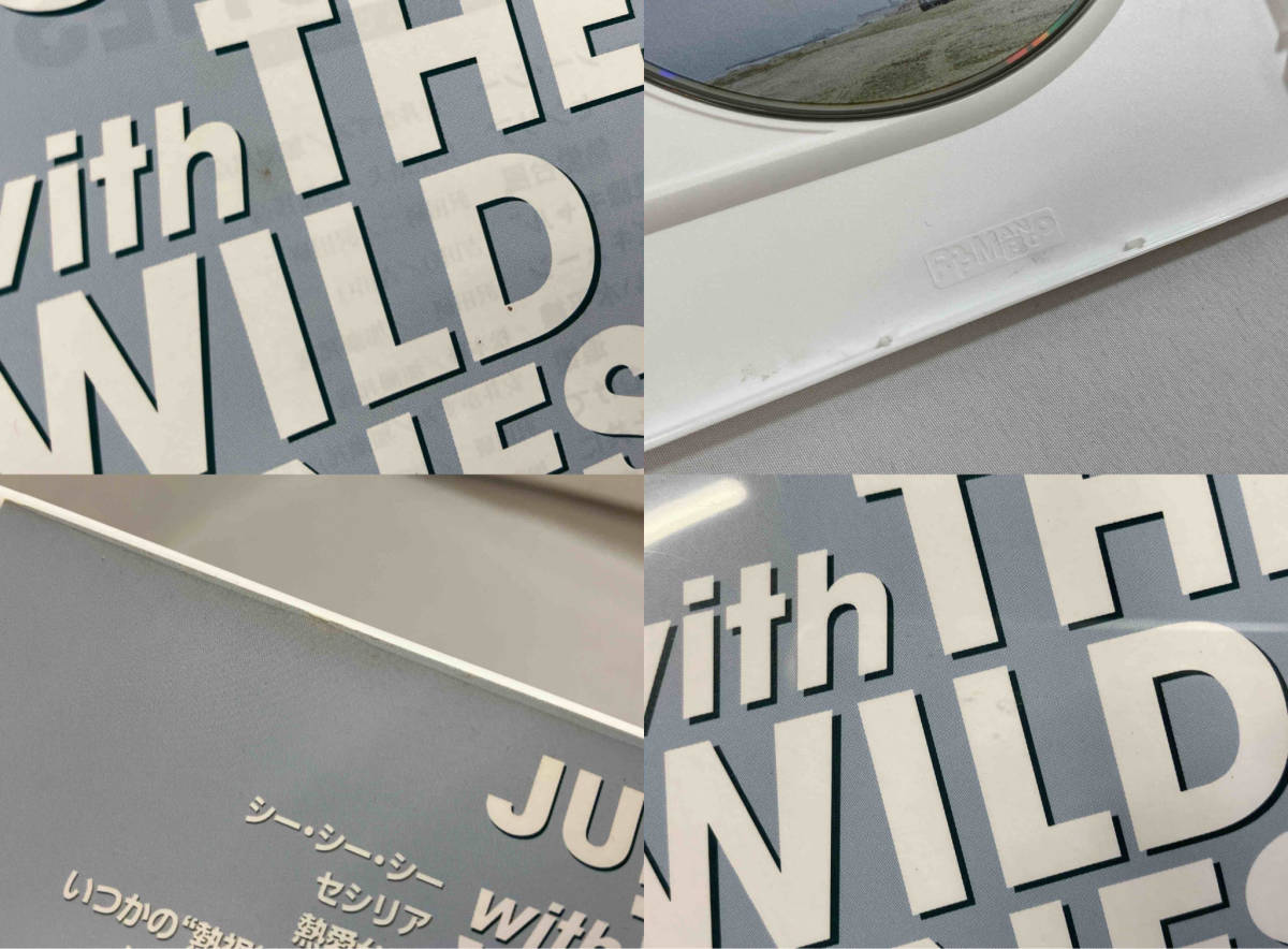 DVD JULIE with THE WILD ONES LIVE 僕達ほとんどいいんじゃあない 沢田研二_画像7