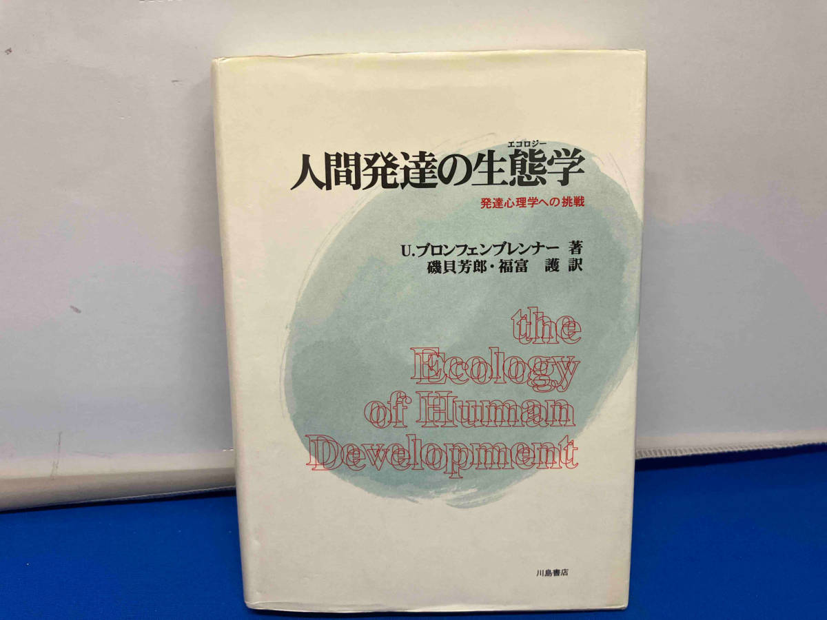 人間発達の生態学 ユリーブロンフェンブレンナー_画像1