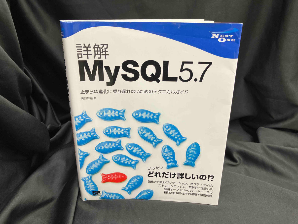 詳解MySQL5.7 奥野幹也_画像1