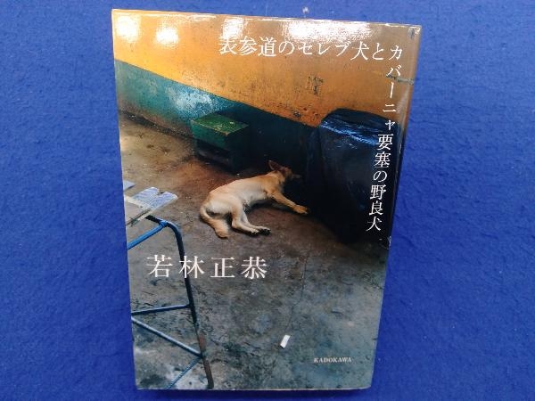 表参道のセレブ犬とカバーニャ要塞の野良犬 若林正恭_画像1