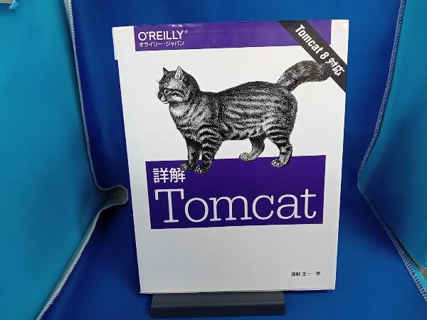 詳解Tomcat 藤野圭一_画像1