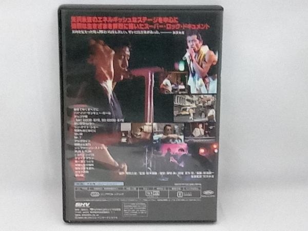 DVD 矢沢永吉 RUN&RUN_画像2