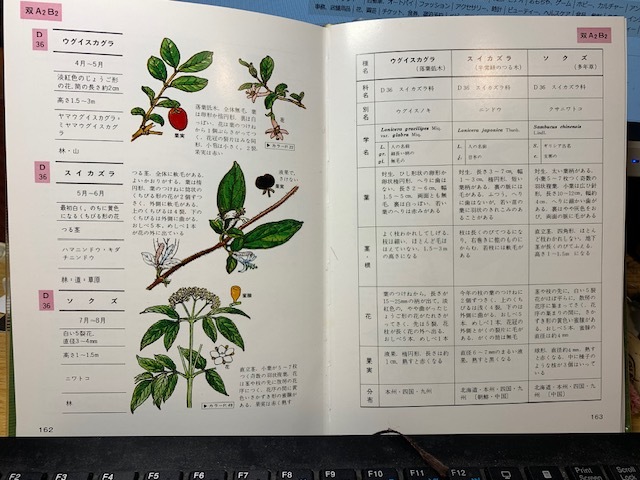 原色野外植物検索図鑑　全８巻_画像9