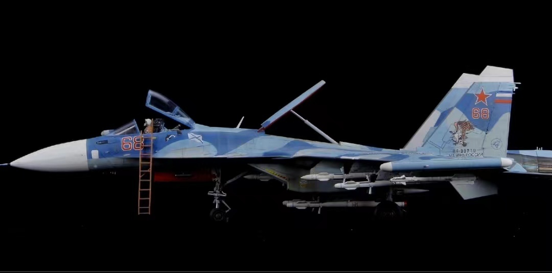 minibase 1/48 Россия ВВС SU-33 FLANKER D сборка покрашен конечный продукт 