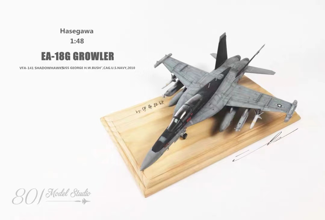 1/48 America Air Force EA-18G construction painted final product 