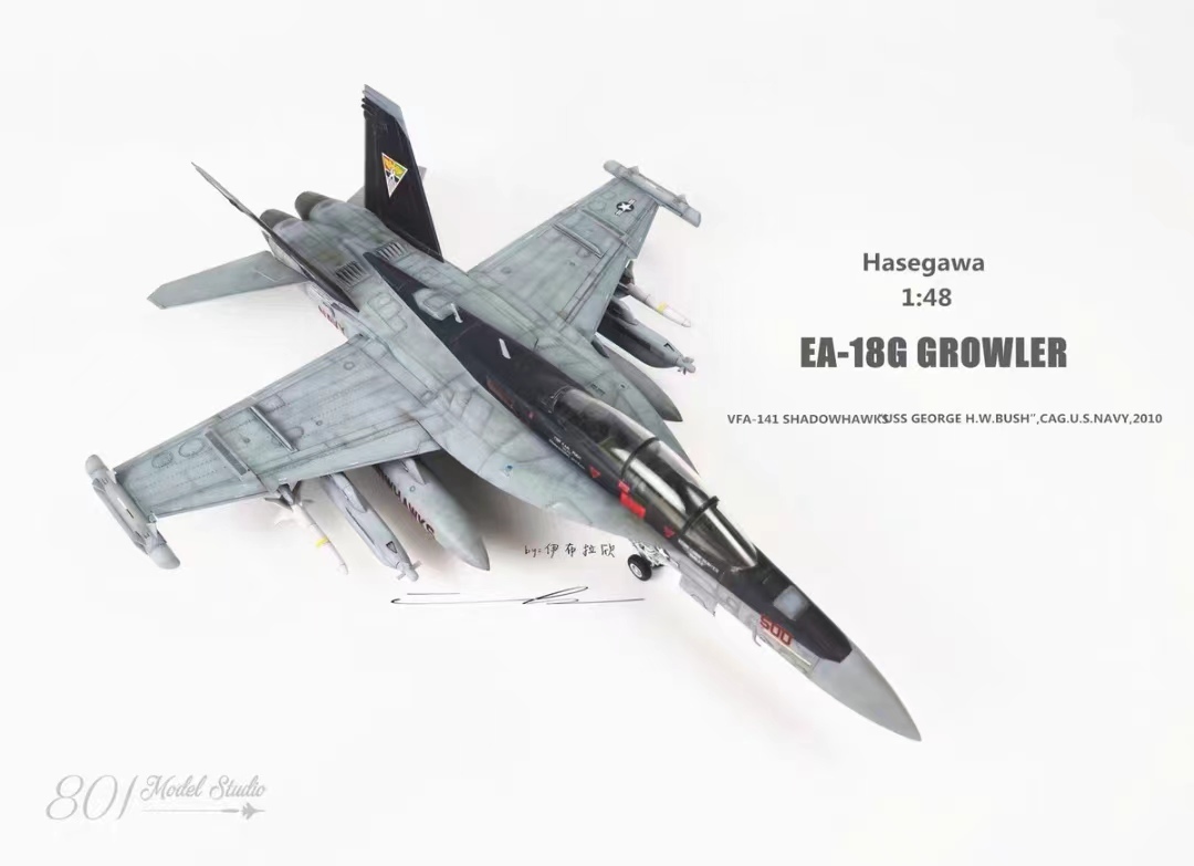1/48 America Air Force EA-18G construction painted final product 