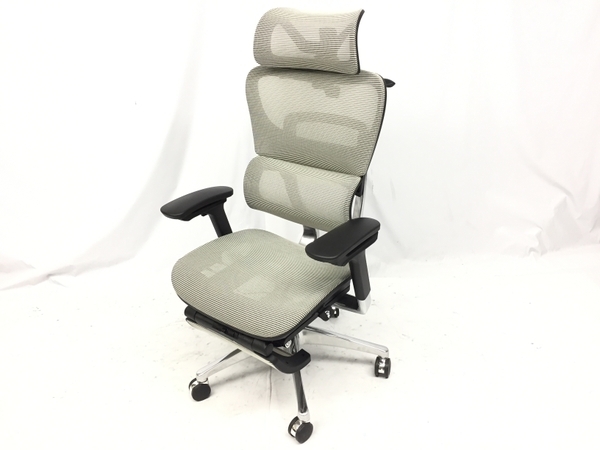 COFO Chair Premium ワークチェア 椅子 メッシュ コフォ 中古 良好 楽 G8418188_画像1