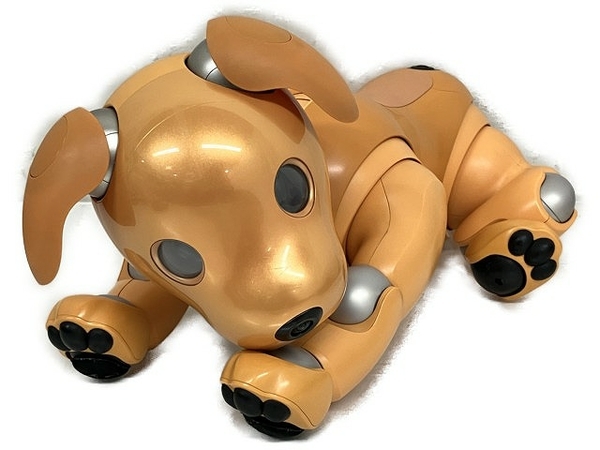 【2020年限定カラーモデル】SONY aibo ERS-1000 キャラメルエディション バーチャルペット 犬型ロボット アイボ 中古 T8483027_画像1