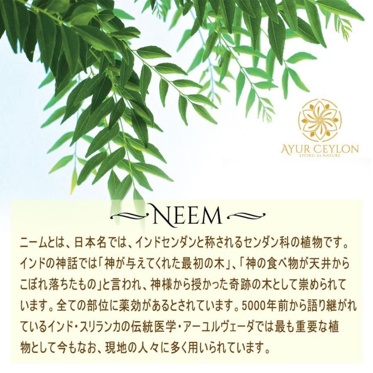 NEEM COMBING QUEEN木製アーユルヴェーダ櫛(ニーム　コーム)1本 くし