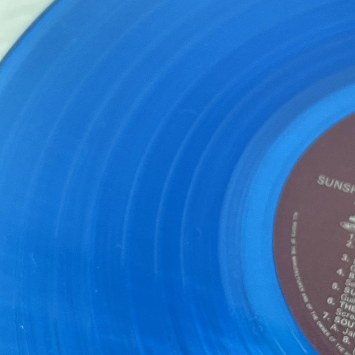 ザ・ビーチ・ボーイズ / サンシャイン・デイズ ECS-81576 初回盤 / LPレコード マリンブルーカラー盤 青 THE BEACH BOYSの画像6