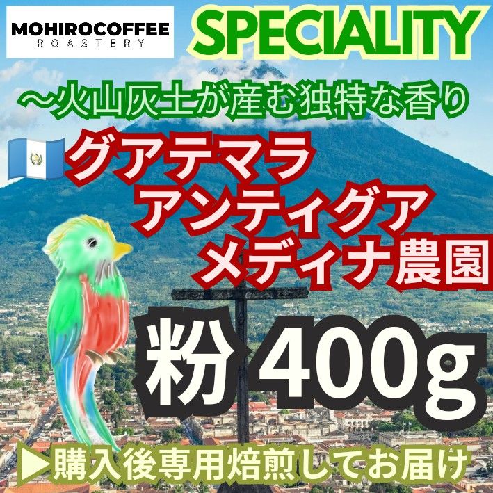 【粉】 グアテマラ アンティグア メディナ農園 400g コーヒー  珈琲 自家焙煎 コーヒー豆 グァテマラ ガテマラ