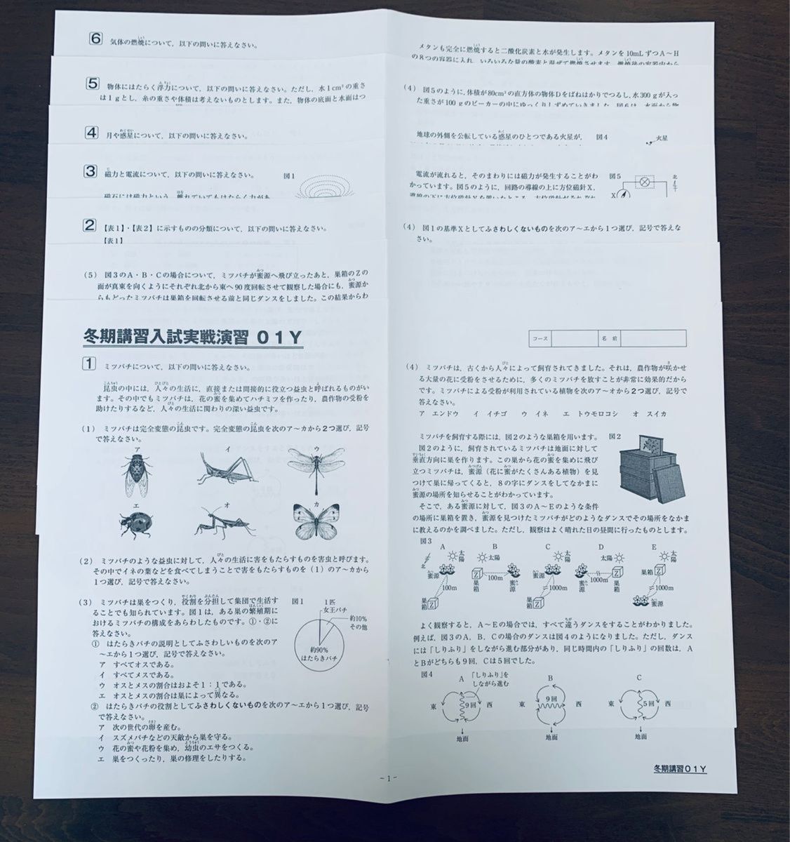 サピックス　SAPIX 小学6年　理科　冬期講習入試実戦演習01Y〜04Y 4セット　セット毎に大問6問、6or7枚　解答付き