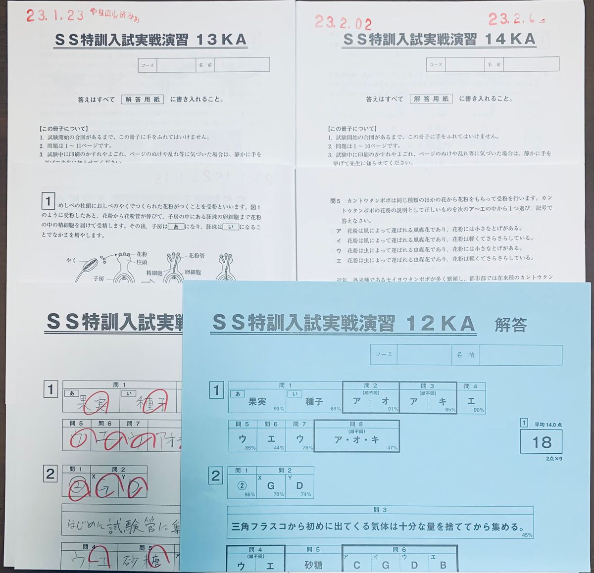 サピックス 小学6年 理科 SS特訓入試実戦演習12KA〜14KA 解答 サピックス 小学6年 理科 SS特訓入試実戦演習12KA〜14KA 解答