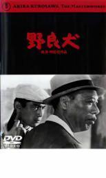 野良犬 黒澤明監督作品 レンタル落ち 中古 DVD 東宝_画像1