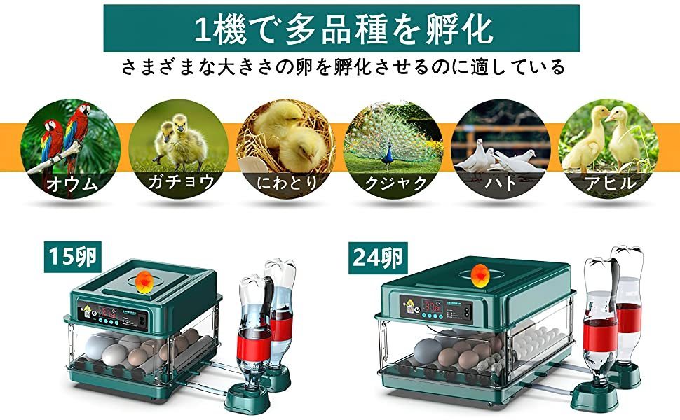 newest automatic . egg vessel in kyu Beta -. temperature vessel birds exclusive use . egg vessel .. vessel automatic rotation egg type a Hill chicken egg a Hill .... temperature .. vessel (24 sheets ) operation video attaching 