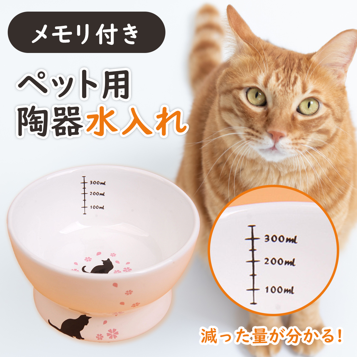 猫 水飲み 陶器 メモリ付 犬 水 ウォーターボトル 食器 かわいい ホワイト_画像2