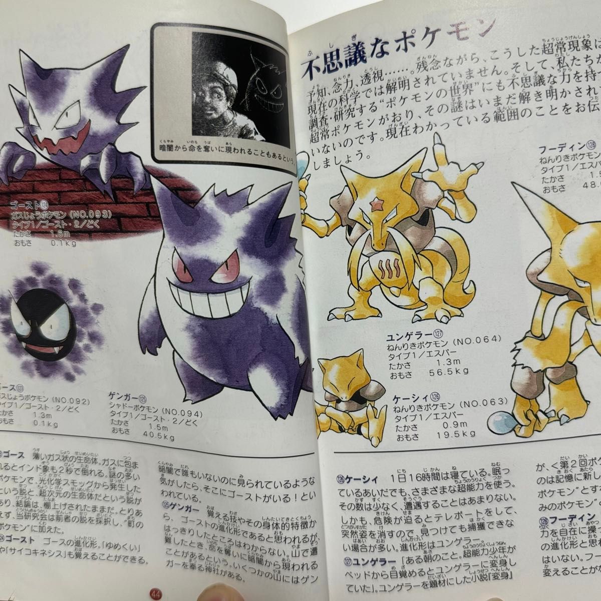 ポケットモンスター図鑑 初代 ポケモン図鑑 ファミ通 攻略本 ポケットモンスター図鑑 初代 ポケモン図鑑 ファミ通 攻略本