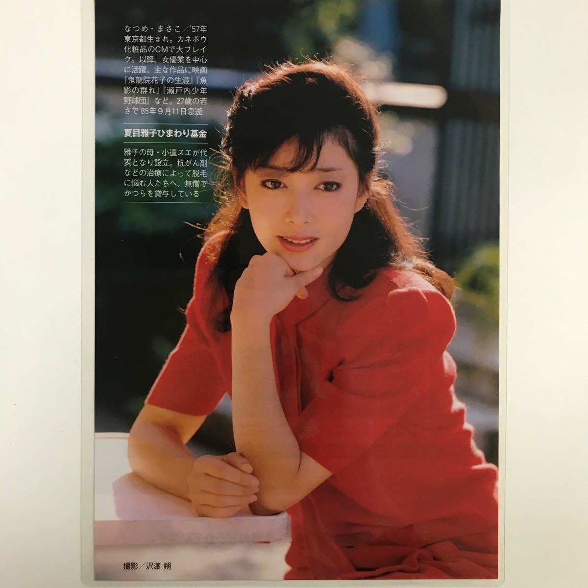 『雑誌グラビア ラミネート加工』Y-1849 夏目雅子(昭和時代・CMで注目され女優の道へ転身・女優)6枚10ページ週刊現代2023年1月7日号 ※15の画像8