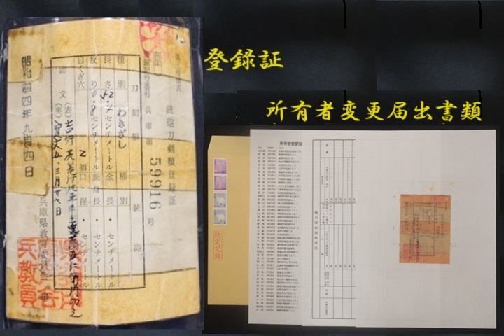 坂本龍馬の愛刀【陸奥守吉行】 脇差 《特別保存刀剣》截断 年月日（寛文五 三月廿七日）刻銘の貴重な御刀 吉行（陸奥守・ 土佐 ）龍馬_画像5