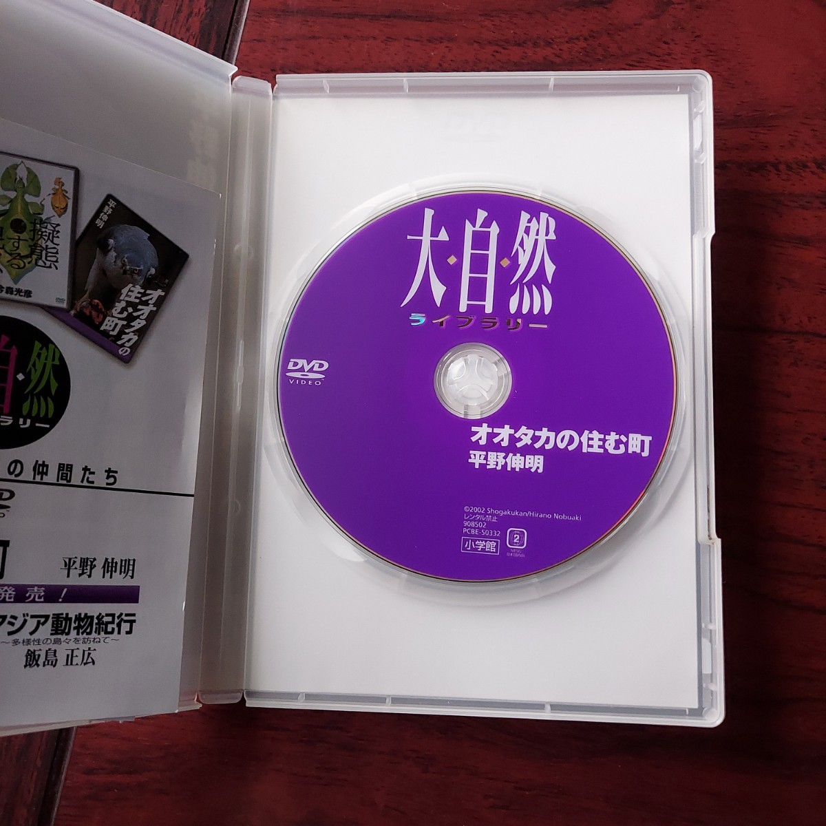 オオタカの住む町　大自然ライブラリー★平野伸明★セル版DVD_画像3