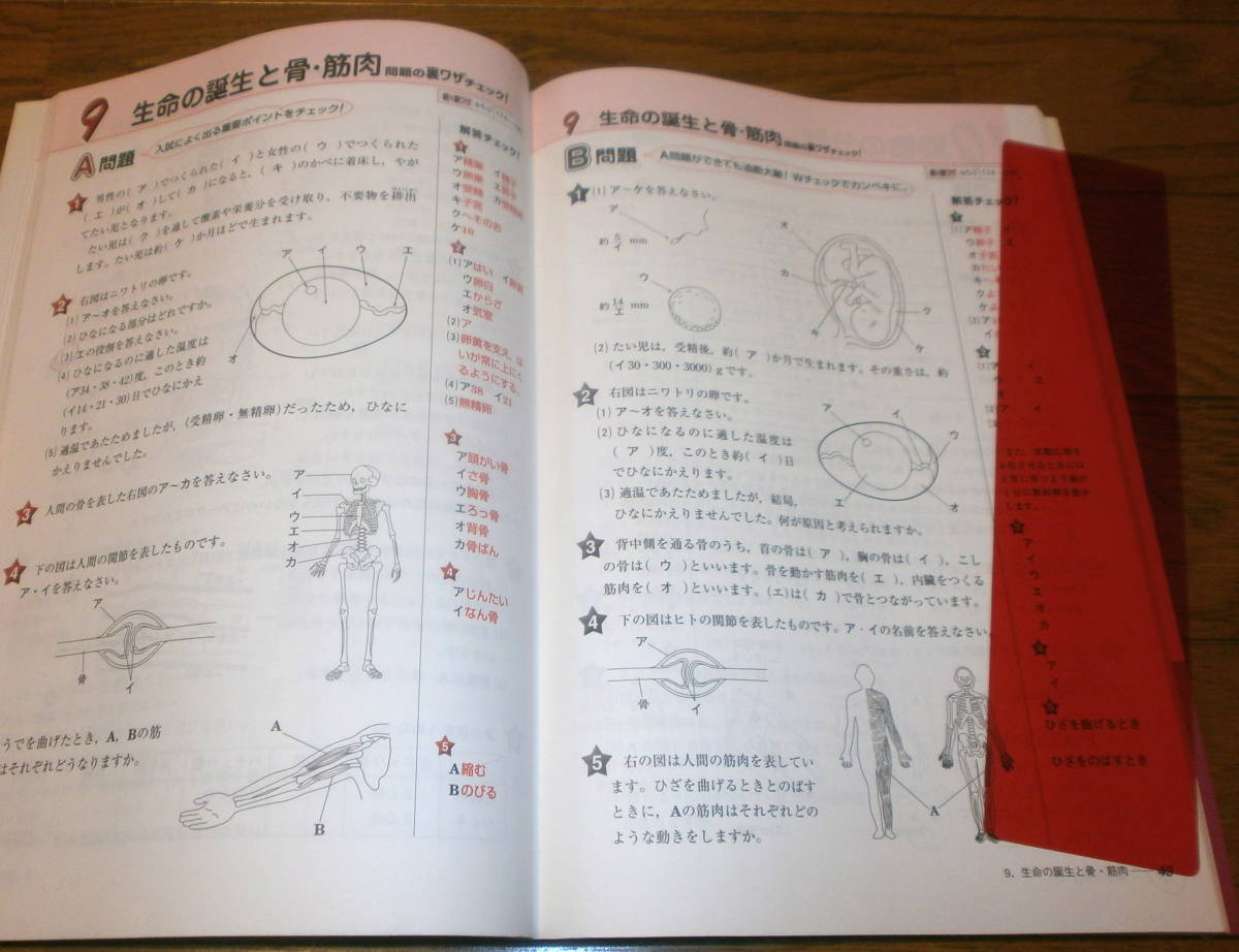 美品　受験理科の裏ワザWチェック問題集　文英堂　中学受験　有名中学合格への近道　950円+税　送料無料