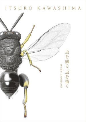 虫を観る、虫を描く 標本画家川島逸郎の仕事／川島逸郎(著者)_画像1