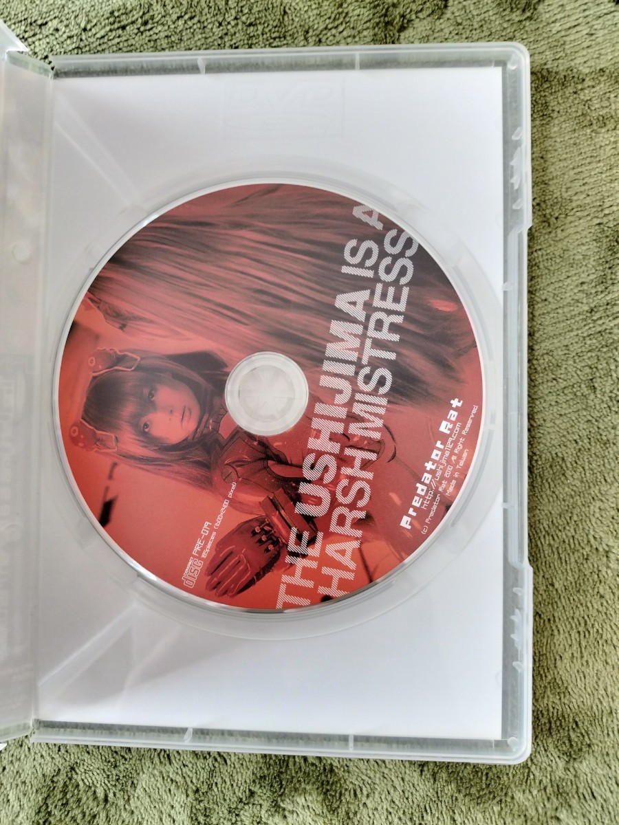 CD 写真集 コスプレ デジタル写真集 同人 CD-ROM UHM The Ushijima is a Harsh Mistress うしじま_画像3
