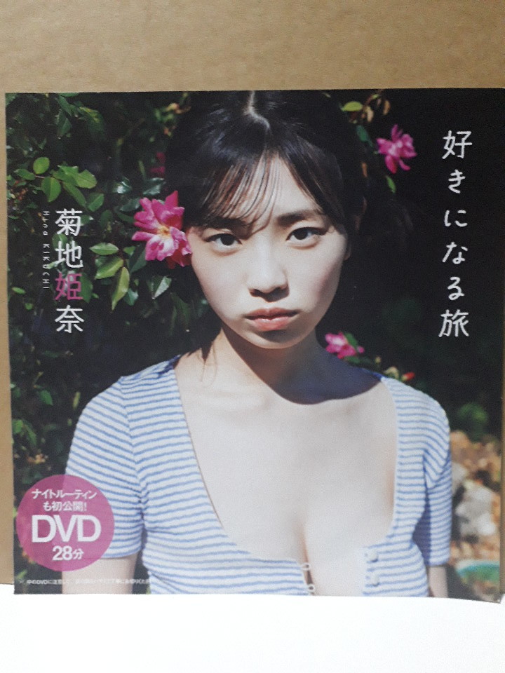 菊地姫奈 好きになる旅 週刊プレイボーイ 付録DVDの画像1