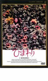 ひまわり レンタル落ち 中古 DVD_画像1