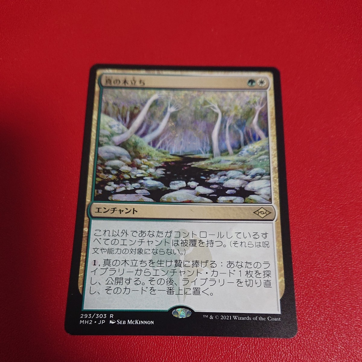 プレイド 【JP】(293)《真の木立ち/Sterling Grove》[MH2] 金R MTGの画像1