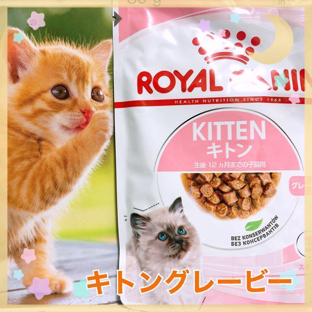 ロイヤルカナン　猫　子猫　キトン　グレービー　85g19個　キャットフード_画像1