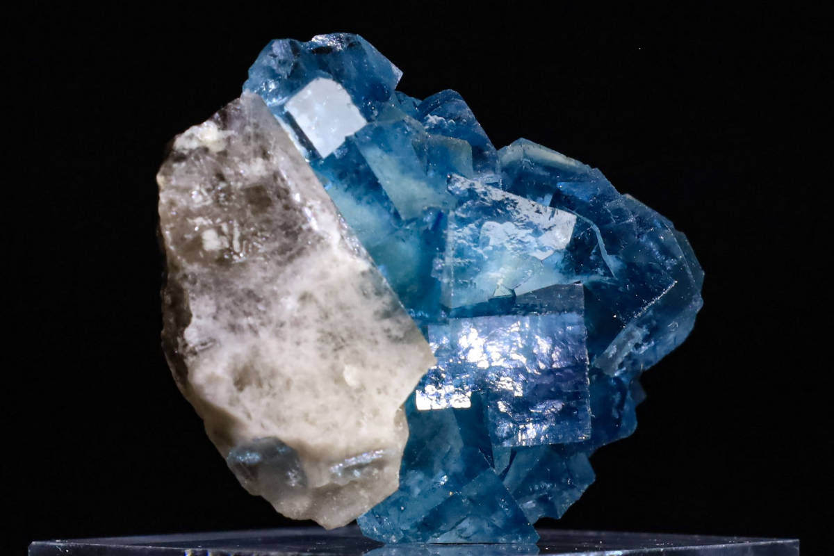 21g 気持ちいい透明感あるブルーゾーニングの世界 天然 フローライト キュービッククラスター クォーツ 天然石 結晶 鉱物 標本｜中国_画像10