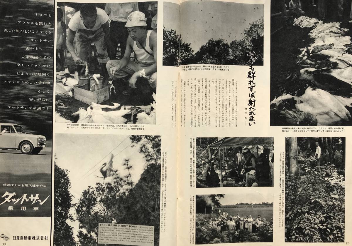 [1957 year ] Asahi Graph 1957 year 9 month 8 day number morning day newspaper company Showa era 32 year . rice field line tunnel .. Hiroshima quotient industry Koshien victory .. water .........