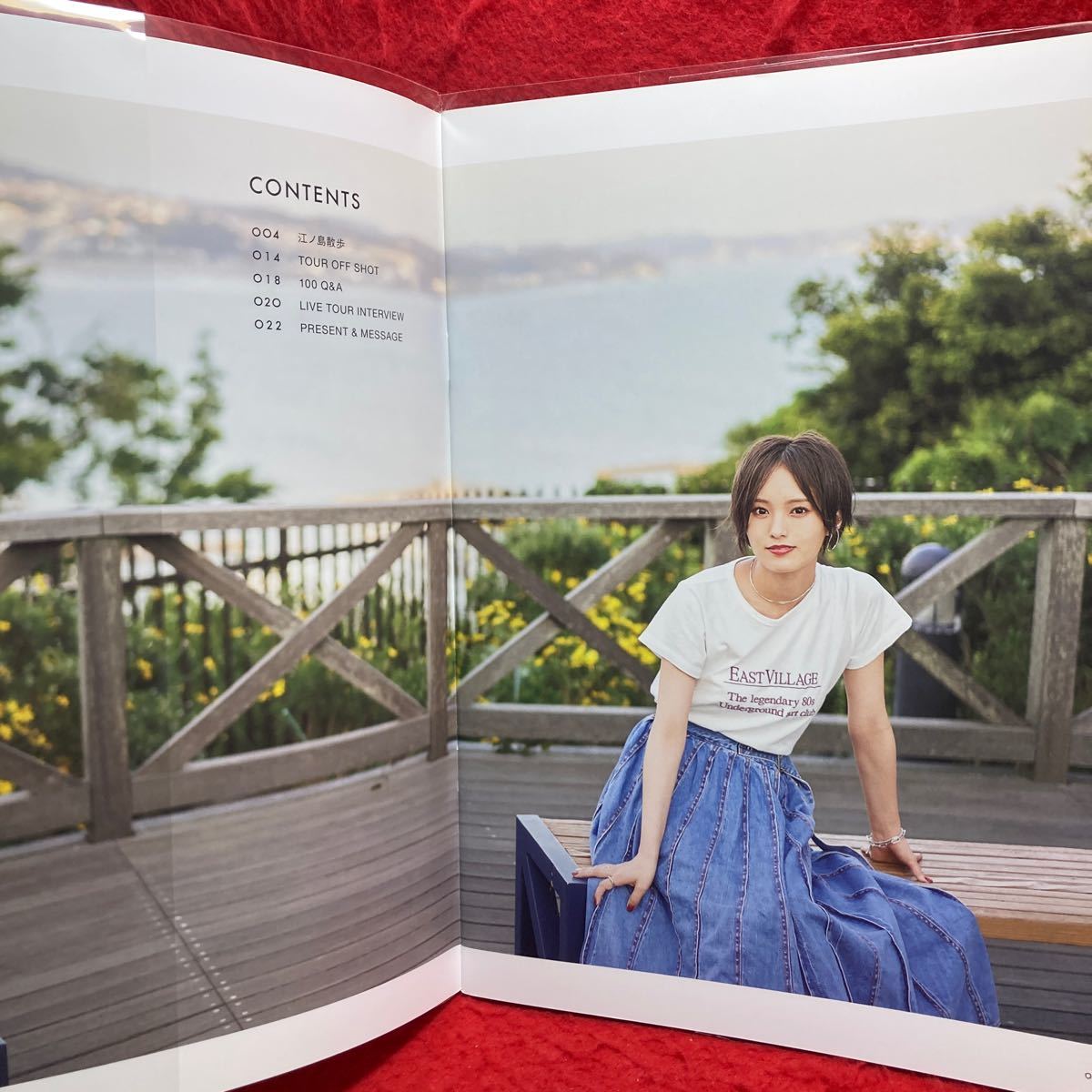 ▼山本彩(元NMB48 AKB48)Vol.001 2019 SUMMER Sayaka Magazine SAYAKA　YAMAMOTO FANCLUB MAGAZINE ファンクラブ会報誌 SYC_画像3